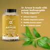 A+ Armor Andrographis Pure 800 Mg – Healthy Immune System