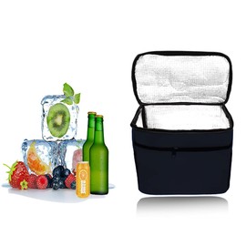 HIQE-FL Foldable Cool Bag, 10 L Picnic Bag, Cool Bag, Thermal Bag, Small, Insulated Lunch Bag, Ice Bag, Lunch Bag, Cool Box for Picnic (Black)