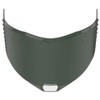 LS2 FF805 Tinted Visor