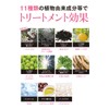 TWK Thin Pure Black Mascara Volume + Towako Kimishima Eyelashes,