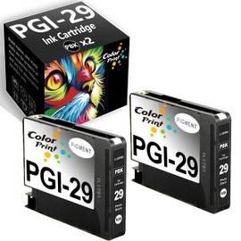 Color Print Remanufactured PGI-29 Ink Tank Replacement for Canon PGI29 Ink Cartridge PGI 29 PGI29PBK for Pro-1 Pro1 Laser Printer (2-Pack, Photo Black)
