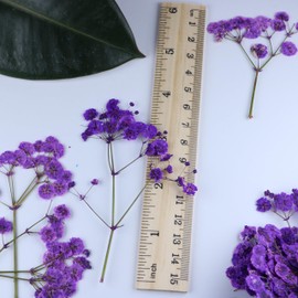 LYFORTZY 50 Branches Purple Pressed Flowers Bulk Dried Flower Kit for Resin , Dried Babys Breath Flower Natural with Tweezer for Crafts Christmas DIY Gift Scrapbooking Photo Props.