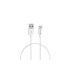 Verbatim Charge & Sync Type C Cable 50cm - White