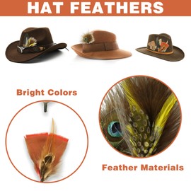 12 Pieces Hat Feathers, Small Feathers for Hats, Natural Assorted Feathers, Cowboy Hat Feathers, Colorful Craft Feathers, Hat Feathers for Cowboy Hats, Feathers, Accessories, DIY Decorations (12