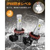 BORDAN H8 LED Fog H11 LED Fog 2 Color Switching,