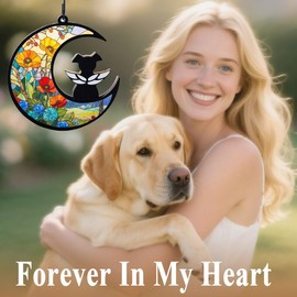 LZXLXS Dog Memorial Suncatcher, Loss of Dog Sympathy Gift for Pet Lovers, Cats Remembrance Ornament, Pet Memorial Gifts, Poppy