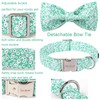 Unique style paws Summer Dog Collar with Bow Tie, Green,
