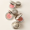 Chantecaille 샹테카이 필란트로피 치크 섀이드 컬렉션 2.5g Chantecaille Philanthropy Cheek