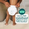 bumbum Luxury Skincare Disposable Diapers - (Select Size and Count)