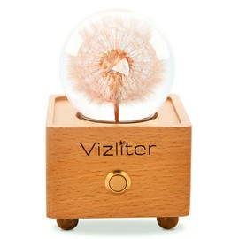 Vizliter Bluetooth Speaker Crystal Ball 65mm LED Lighting Premium Preserved Natural Flower with Wood Base Never Withered Eternal Night Light Audio Portable (Dandelion)