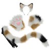 Cat Ears, 3-piece Set, Costume Accessories, Prop, Cat Claws, Cat