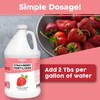 Strawberry Fertilizer for Fruit and Berry Gardens, Liquid Plant Food,