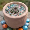 HappyFiller Multi Color Gravels Small Terrarium Rocks Mini Pebble Stones
