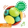 Bright Starts Wobble Bobble Activity Ball Toy, Baby & Toddler