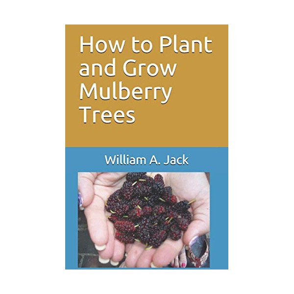 How to Plant and Grow Mulberry Trees (Trees and Shrubs