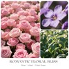 KOIMYSA Rose Scented Candles, Pink Floral Aromatherapy Candle Gifts for