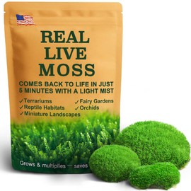 LUCKY PLANT Fresh Live Moss Variety Pack - Ideal for DIY Terrariums, Miniature Bonsai, Potted Plants, Reptiles, Succulents, (A Whole Piece of 8" x8" Fresh Leucobryum Moss)