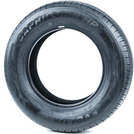 Evoluxx Capricorn HP All-Season Passenger Car Performance Radial Tire-215/65R16 215/65/16 215/65-16 98H Load Range SL 4-Ply Black Side Wall UTQG 700AA