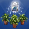 ExHale Homegrown CO2 365 - Self-Activated Bag for Grow Rooms