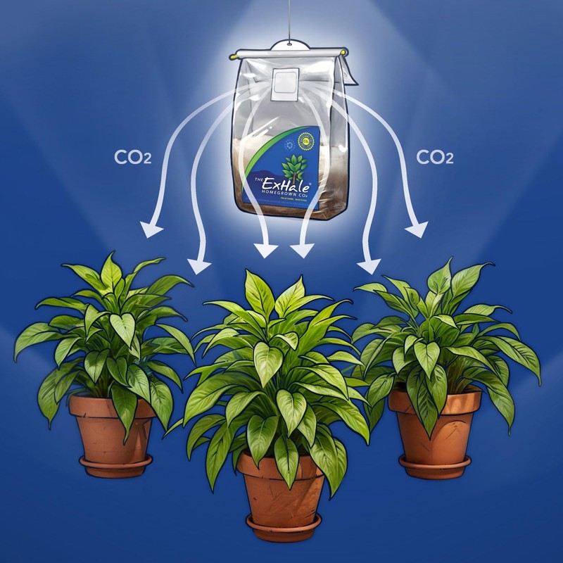 ExHale Homegrown CO2 365 - Self-Activated Bag for Grow Rooms