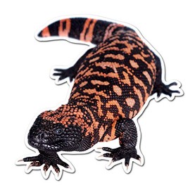 Dark Spark Decals Gila Monster Walking - 4 Inch Full Color Vinyl Decal for Indoor or Outdoor use, Cars, Laptops, Décor, Windows, and More