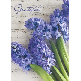 Shared Blessings Hyacinth Sheet Music Thank You 1 Count Religious Thank You Greeting Card, King James Version Scripture