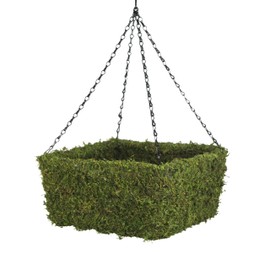 SuperMoss (29211) MossWeave Hanging Basket - Square, Fresh Green, Medium (12.5" Diameter)