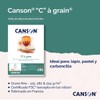 'Canson 400060604 °C A Grain Lightly Grained Drawing Paper 180