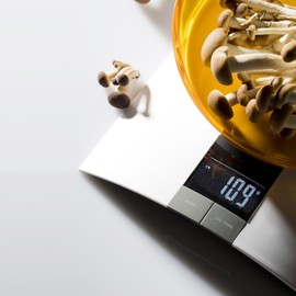 Omada Design Digital Scale with Colored and Removable Container 0-106 Oz, Trendy Line