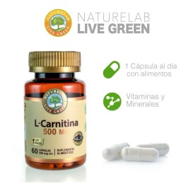 L-carnitina - Minerales - 60 Cápsulas De 500mg- Naturelab Sabor Sin sabor