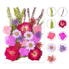Dried Pressed Flowers for Resin, Real Pressed Flowers Dry Leaves Bulk Natural Herbs Kit for Scrapbooking DIY Art Crafts, Nails Décor, Epoxy Resin Jewelry, Candle, Soap Making (Rose red)