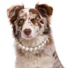 KUDES Exquisite and Adjustable Dog Necklace: Elegant Classic Pearl Collar