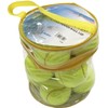 Be Active (bi-akutexibu) Tennis Ball Set of 12 [Storage bag] BA – 1098 