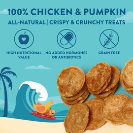 Wholesome Hound Chicken & Pumpkin Chips – Single Ingredient Dog Treats, All Natural & Healthy Training Snacks for Small, Medium & Large Breeds, Puppies – High Protein, Made in USA 3oz