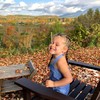 Flavored Honey Sticks - Farm Fresh US Honey Packets for