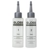 GREAT 그리에이트 그로스 크리닉 치오 웨이브 로션1제100+2제100ml [33_아오모리매끄러운LPP샴푸] Create Gross