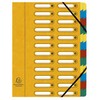 Exacompta 5324E Premium Folder Harmonica Made of Extra Strong Colorspan