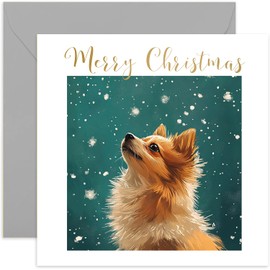 Pomeranian Dog Christmas Card for Men and Women - Xmas Gifs for Pet Owner from Dog - Beautiful Festive Artwork - Keepsake Present for Husband Wife Mum Dad - Blank Inside with Envelope