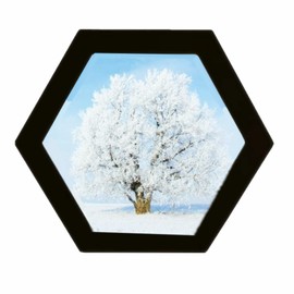 alblinsy Hexagon Shaped Photo Frame Wooden Wall Hanging Picture Frames for Home Office Wall Decor, Simplicity Wall Gallery Artificial Board Photo Frames with Seamless Nail (6 inch, Black)