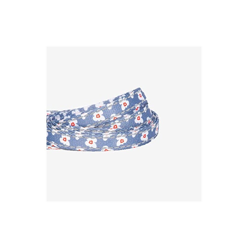 Luklan DOGNESS Dog Ness Leash & Harness Set, Little Rascal