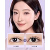 WOSADO X Bearisbug Magnetic False Eyelashes, No.14 Fog Black, Magnetic