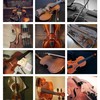 Violin 2026 Desk Calendar