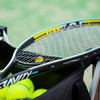 New! SHOCKSORB WASP STRIPS - Add Weight, Power, and Stability