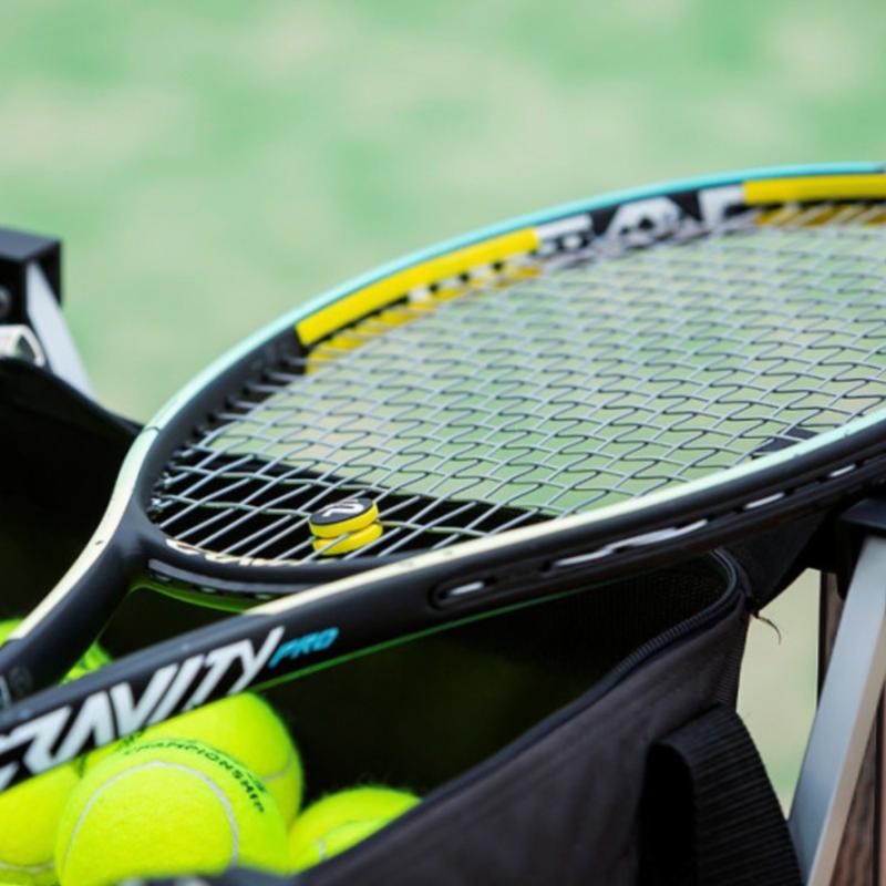 New! SHOCKSORB WASP STRIPS - Add Weight, Power, and Stability