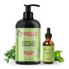 Mielle Rosemary Mint Collection Shampoo and Oil