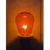 YI LIGHTING - 11W S14 Transparent Amber Sign Light Bulb