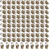 BIHRTC 100 Pack Mini Clips Stainless Steel Shower Curtain Clips
