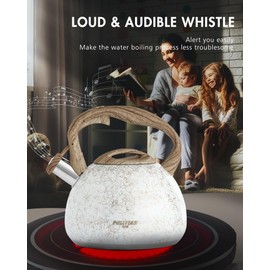 POLIVIAR Tea Kettle, Iron Grey Tea Pot Stovetop, 2.7 Quart Loud Whistling Coffee and Teapot, Food Grade Stainless Steel for Anti-Hot Handle and No-Rust, Suitable for All Heat Sources (JX2020-YB30)