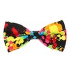cravateSlim Multicoloured Bow Tie