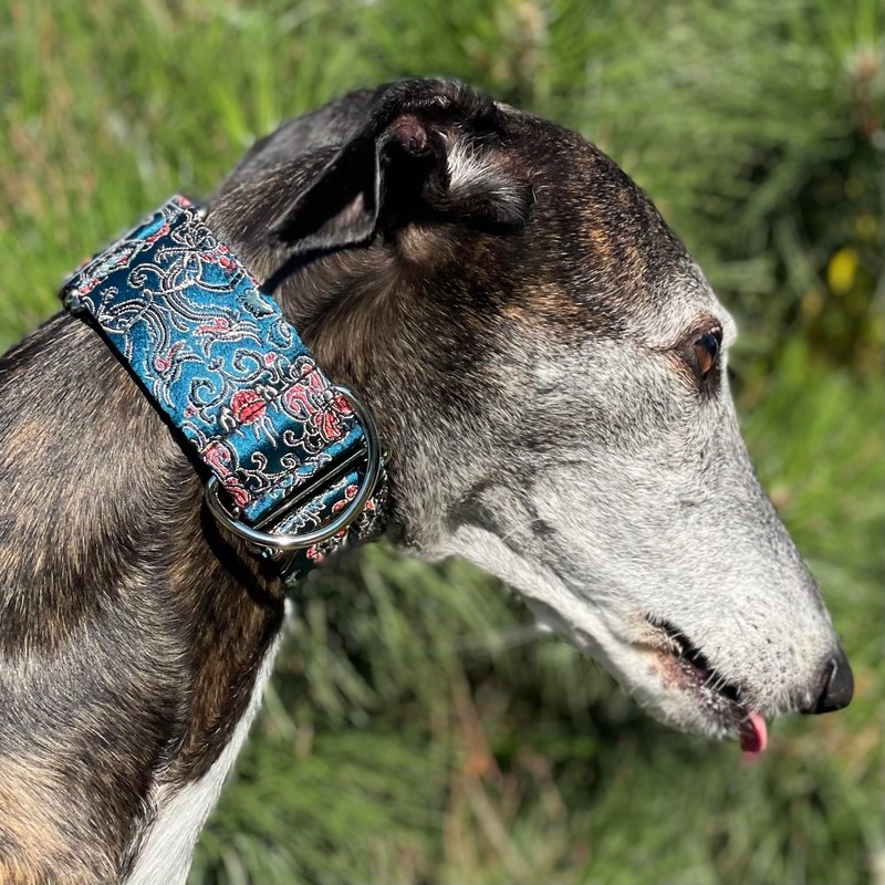 Extra Soft Martingale Dog Collar for Greyhound Saluki Whippet and